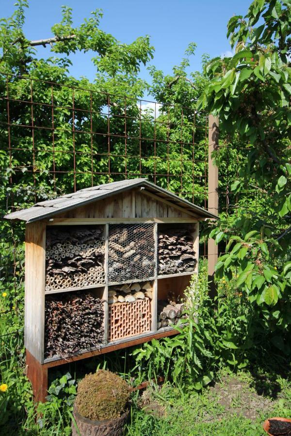 Haus Im Erlengrund Διαμέρισμα Coldrano Εξωτερικό φωτογραφία