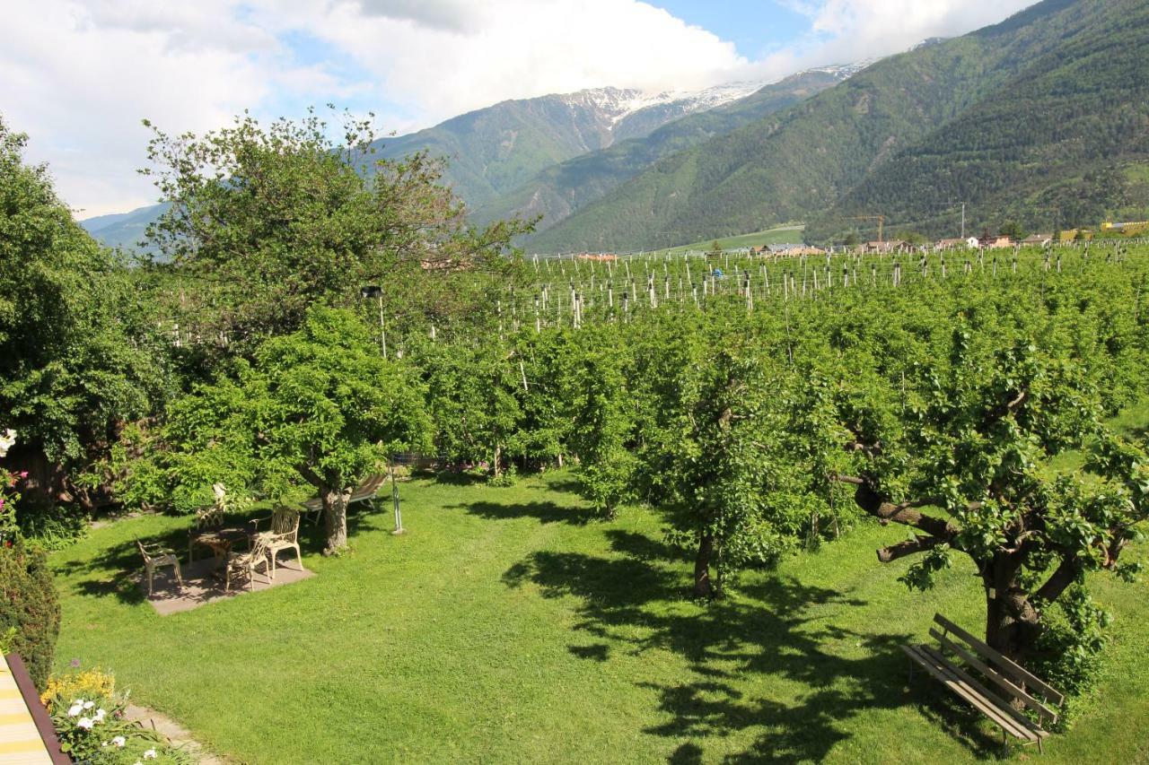 Haus Im Erlengrund Διαμέρισμα Coldrano Εξωτερικό φωτογραφία